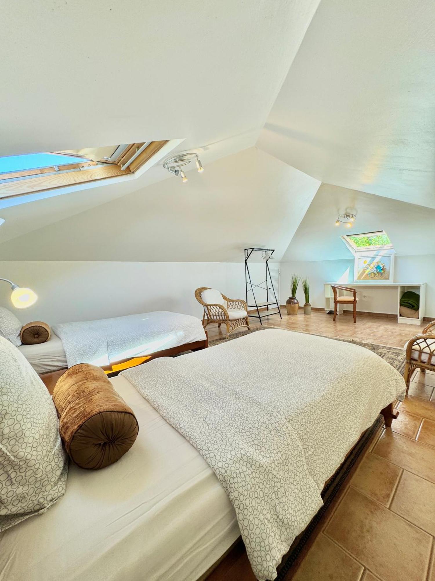 Casa Conduto Vendégház Ponta do Sol  Kültér fotó