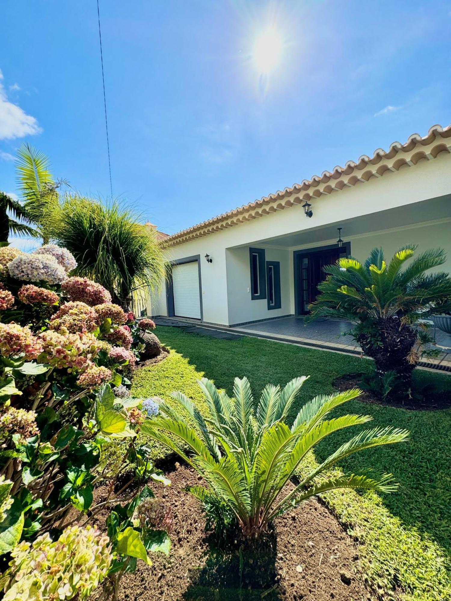 Casa Conduto Vendégház Ponta do Sol  Kültér fotó