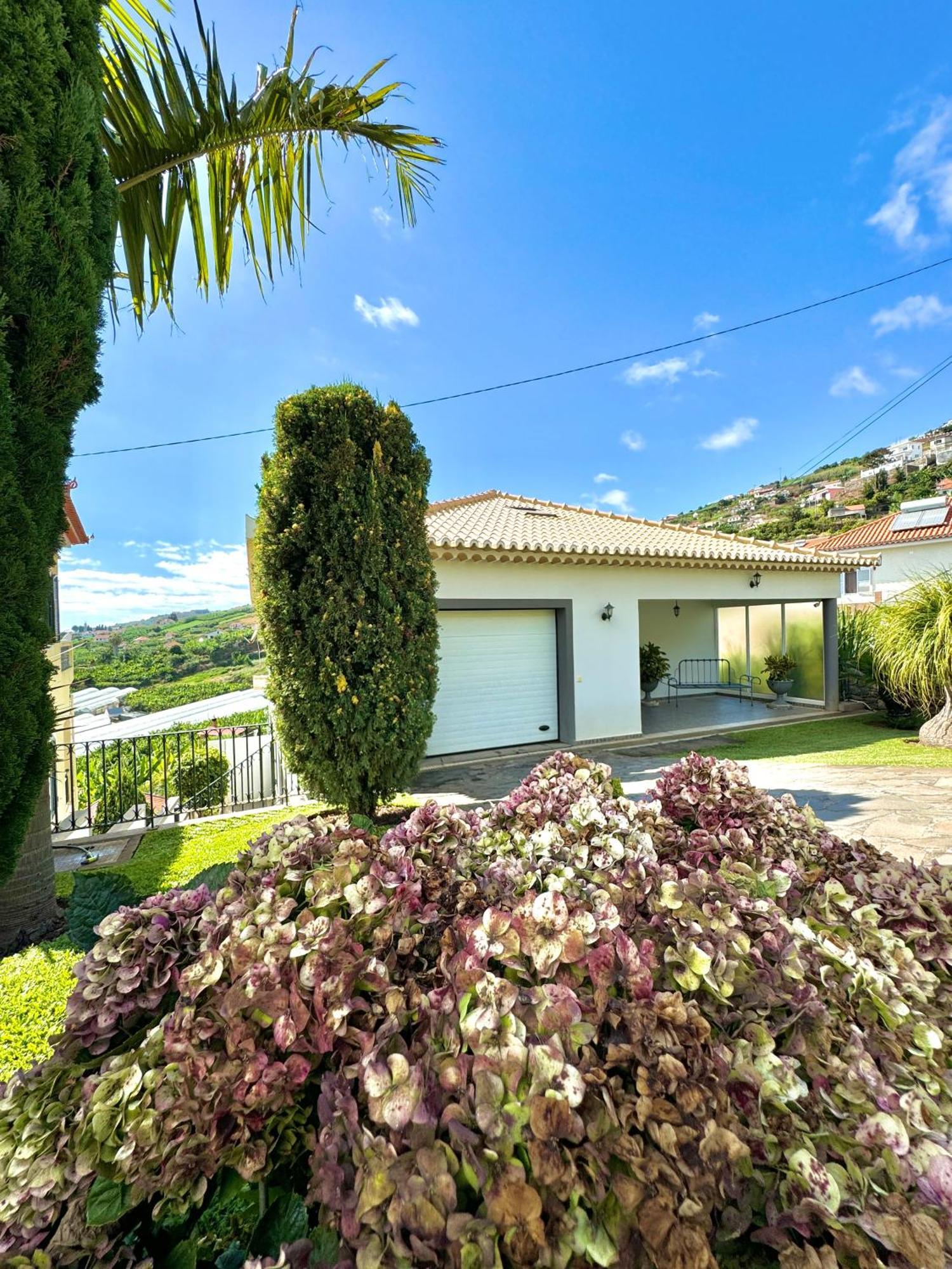 Casa Conduto Vendégház Ponta do Sol  Kültér fotó